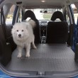 best-cars-for-dog-owners