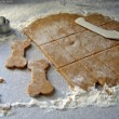 bone-shaped-homemade-dog-treats.jpg