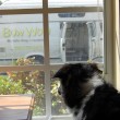 bow-wow-mobile-pet-van-by-jilbean3.jpg
