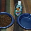 dental-fresh-dog-water-bowl