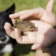 dog-frog-poisoning-by-Scarto.jpg