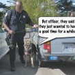 dog-renting.jpg