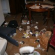 dog-trash-by-the-goods.jpg