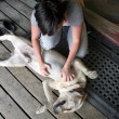 dogs-and-people-bonding-byelisfanclub.jpg
