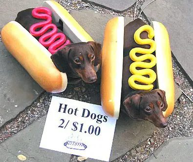 hot-dog-costumes.jpg