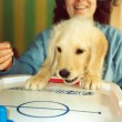 interactive-dog-toys
