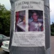 lost-dog-sign-by-Aine-D Lost dog poster. photo by Aine D on Flickr