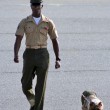 marine-mascot-dog.jpg