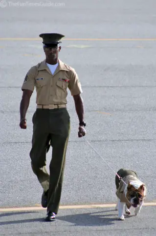 Marines In Uniform