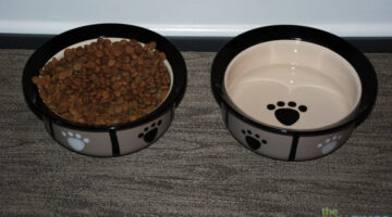 petrageous-dog-food-bowls