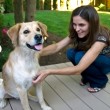 training-and-older-dog-by-flickrized.jpg