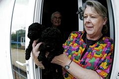 a-reputable-dog-breeder-by-bowbrick.jpg