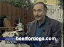 beer-for-dogs-thumb.jpg