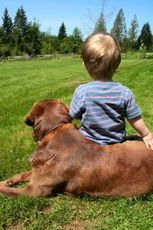 boy-and-his-dog-by-btwist.jpg