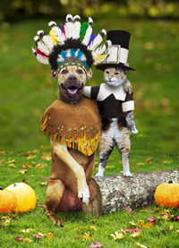 A cat and dog dressed like Thanksgiving pilgrims.