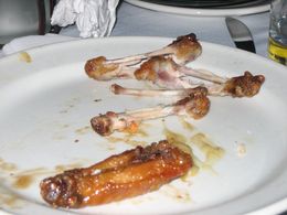 cooked-chicken-bones-by-MrLobo.jpg