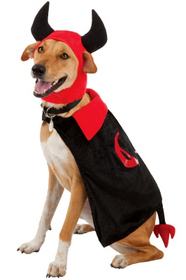 devil-dog-costume.jpg