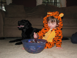 dog-and-baby-with-halloween-candy-by-blackats.jpg
