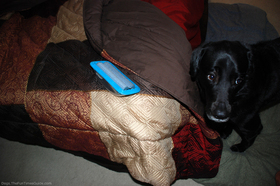 dog-and-pet-hair-remover.jpg