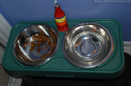 dog-food-and-bottle-of-extra-virgin-olive-oil.jpg