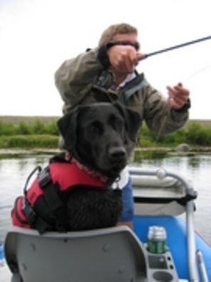 dog-on-fishing-boat.jpg