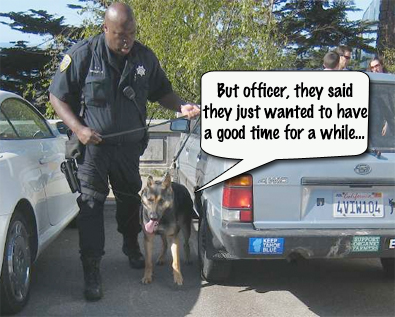 dog-renting.jpg