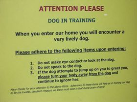dog-rules-cesar-millan-by-loves-taishan.jpg
