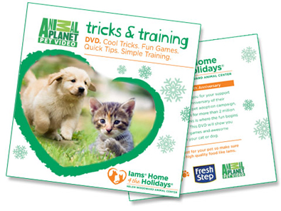 dog-tricks-and-training-dvd.jpg