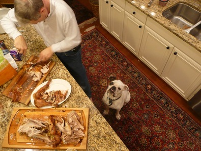 dog-waiting-for-turkey-scraps-by-campbells-soup.jpg