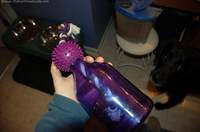 dog-wants-new-tug-a-jug-treat-toy.jpg