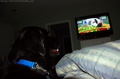 dog-watching-puppy-bowl.jpg