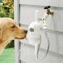 dog-water-fountain.jpg
