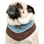 dog-wearing-cool-it-bandana.jpg