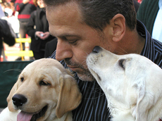 dog_kisses_public_domain.jpg