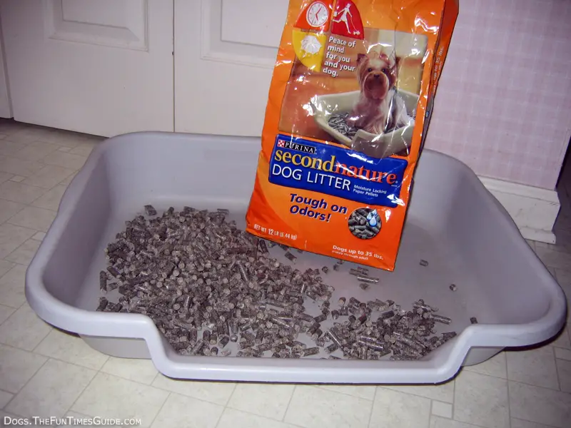 Fun Tip For Potty Training Puppies: Try A Dog Litter Box!