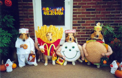 Dogs dressed up for Halloween wearing fast food costumes. fast-food-dog-halloween-costumes.jpg