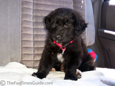 first-car-ride-photo.jpg