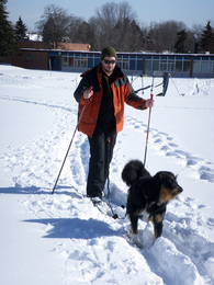 first-time-skijoring-with-one-dog-by-alt-text.jpg