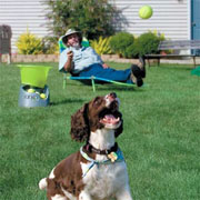 go-dog-dog-tennis-ball-launcher.jpg
