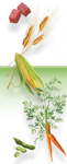 healthy-ingredients-in-beneful2.jpg