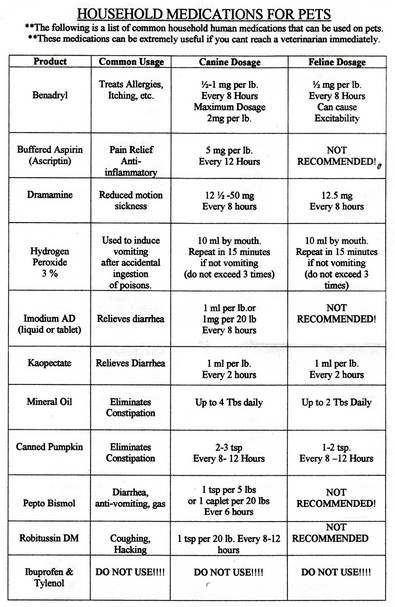 household-medications-for-pets2.jpg