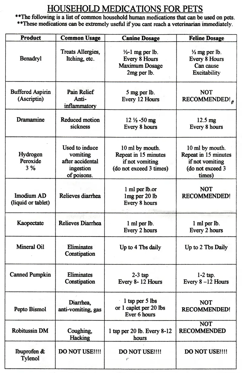 Human Medicine For Dogs Chart