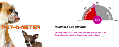 is-your-dog-gay.jpg