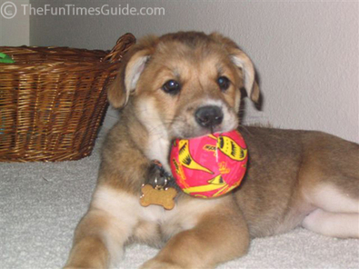 kona-with-red-ball2.jpg