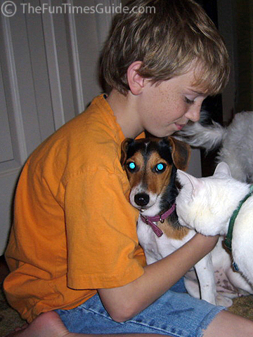 molly-terrier-and-tristan-photo.jpg