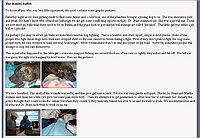 pet-peeves-vet-blog.jpg