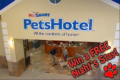 petsmart-petshotel.jpg