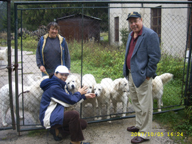 reputable-dog-breeders-by-slovenskycuvacusa-at-gmail.jpg