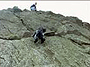 rock-climbing-dog-thumb.jpeg