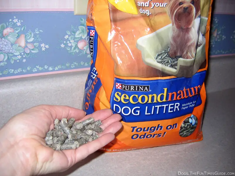 purina dog litter box